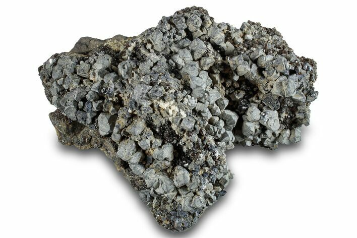 Galena with Botryoidal Sphalerite - Pine Point Mine, Canada #261955